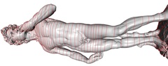 Distributed Poisson surface reconstruction